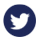 Twitter logo icon