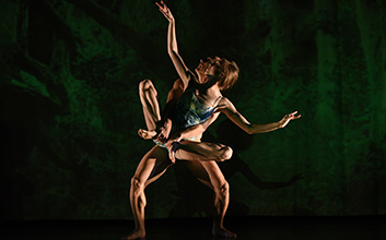 MOMIX
