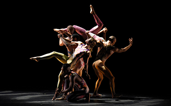 Pilobolus